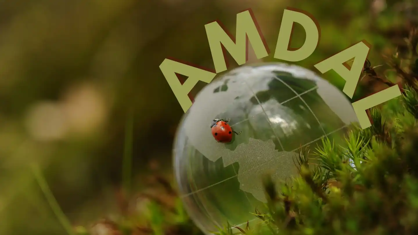 Sejarah AMDAL : Sadar Karena Bencana