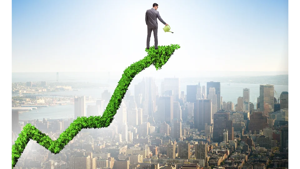 Mekanisme dan Prosedur Penyelenggaraan Nilai Ekonomi Karbon (NEK) di Indonesia