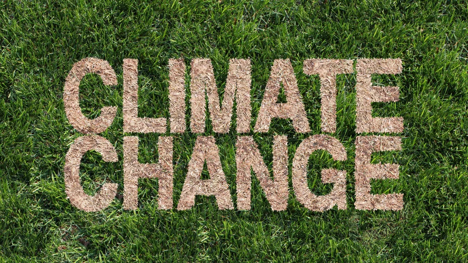 Mitigasi dan Adaptasi Perubahan Iklim: Target NDC dalam Perpres 98 Tahun 2021