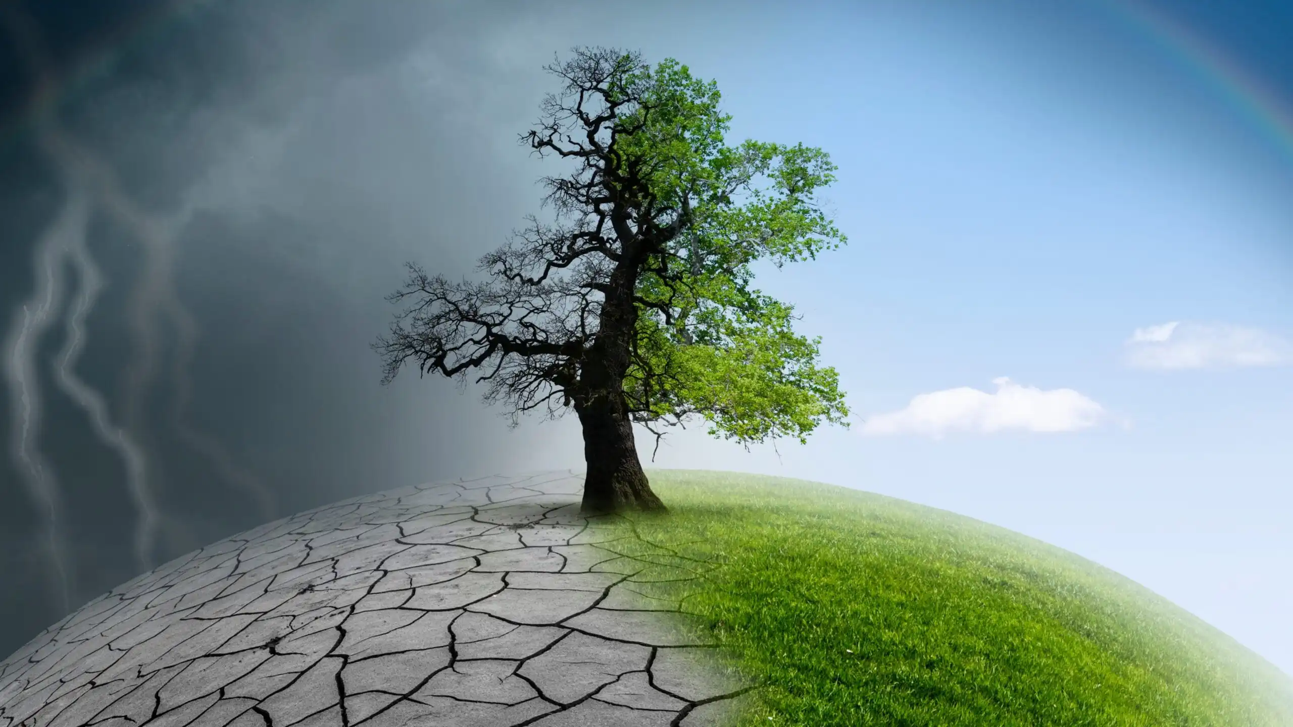 NDC Indonesia : Komitmen Indonesia terhadap Penurunan Emisi dan Peningkatan Ketahanan Iklim