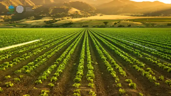 Jasa Penyusunan Laporan Pemantauan Lingkungan Sektor Industri Pupuk Majemuk Lepas Terkendali (PMLT)