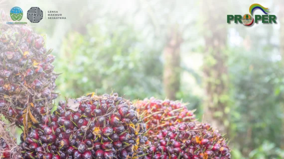 Jasa Pendampingan PROPER Sektor Industri Minyak Goreng Kelapa Sawit