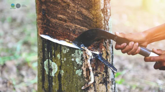 Konsultan Inventarisasi Gas Rumah Kaca (GRK) Sektor Industri Karet Remah