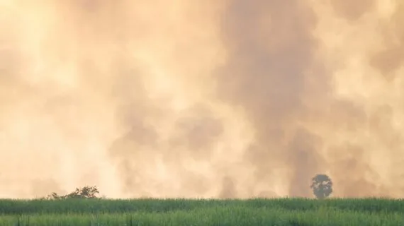 Standar Emisi PLTU Batubara di Indonesia