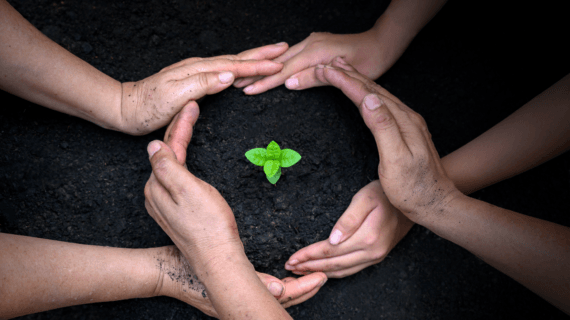 Jasa Laporan Modal Alam Perusahaan untuk ESG, TNFD dan Green Bond